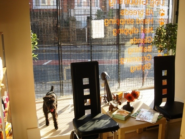 shop02